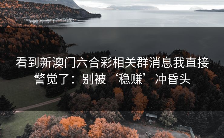看到新澳门六合彩相关群消息我直接警觉了：别被‘稳赚’冲昏头
