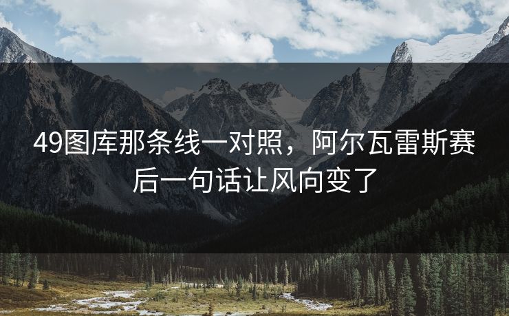 49图库那条线一对照，阿尔瓦雷斯赛后一句话让风向变了