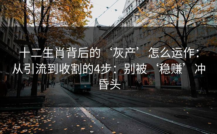 十二生肖背后的‘灰产’怎么运作：从引流到收割的4步：别被‘稳赚’冲昏头