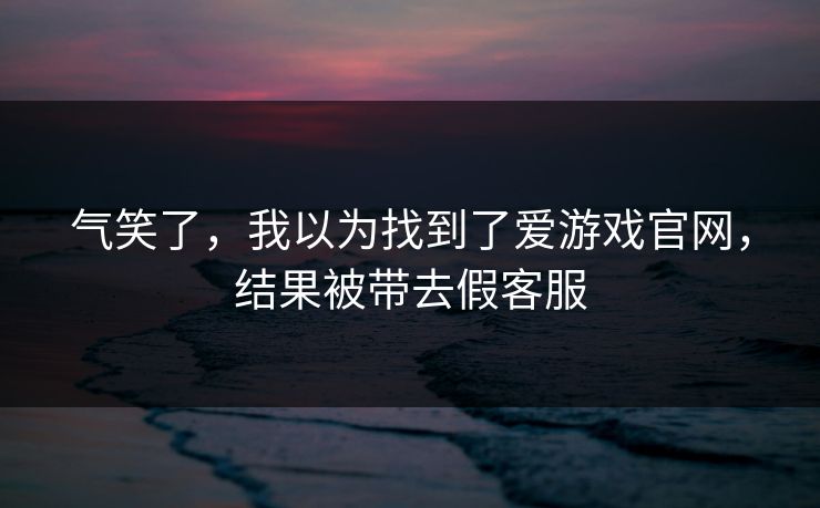 气笑了，我以为找到了爱游戏官网，结果被带去假客服