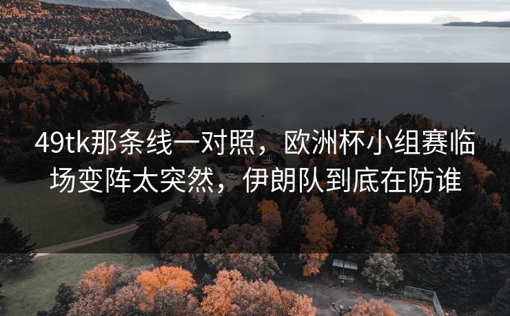 49tk那条线一对照，欧洲杯小组赛临场变阵太突然，伊朗队到底在防谁