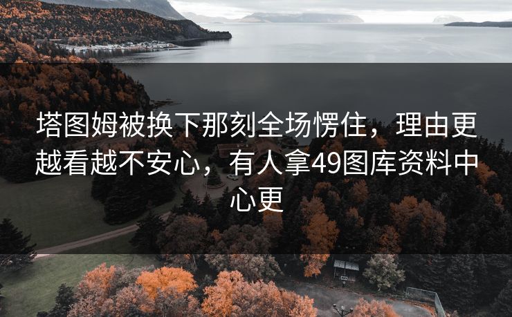 塔图姆被换下那刻全场愣住，理由更越看越不安心，有人拿49图库资料中心更